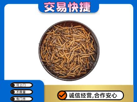 巴音郭楞和静县礼品回收虫草.jpg